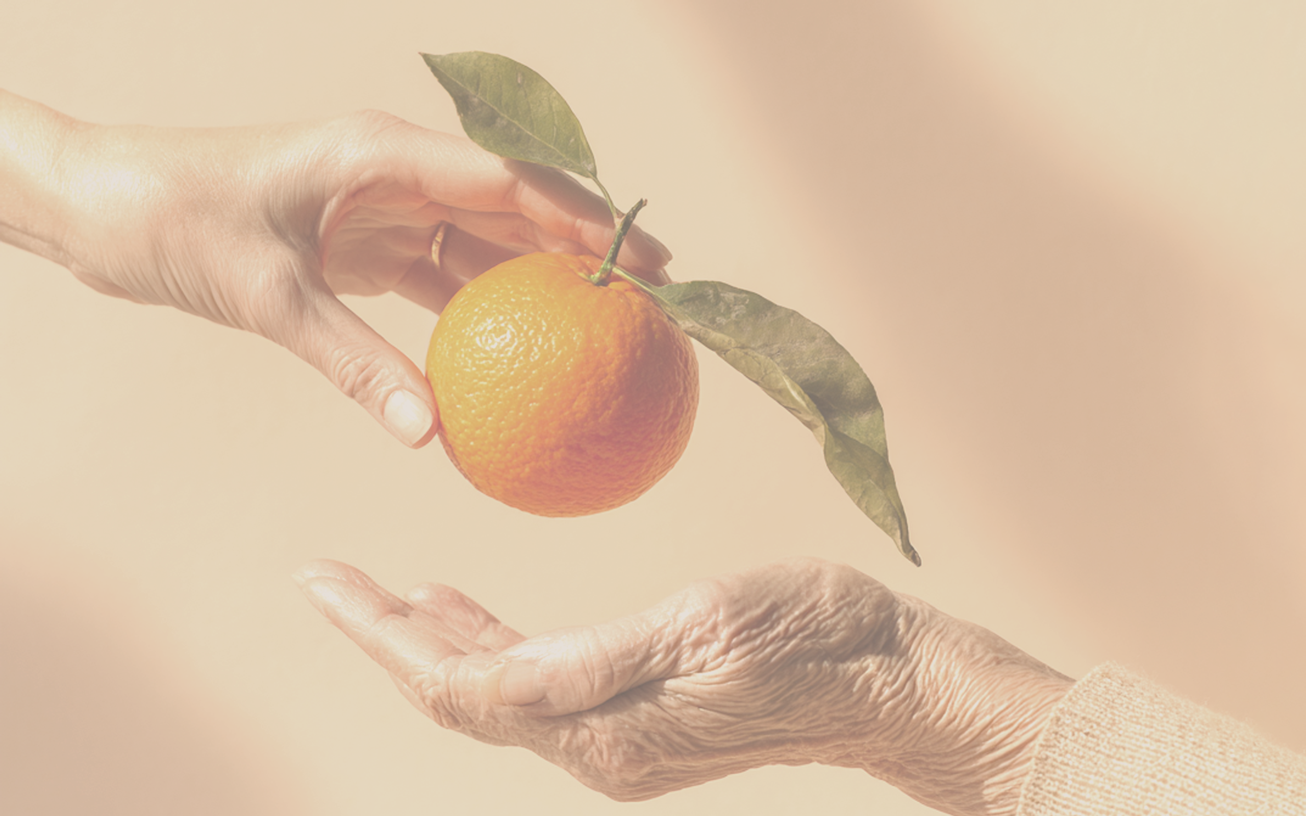 Hands representing personal support for families seeking senior care